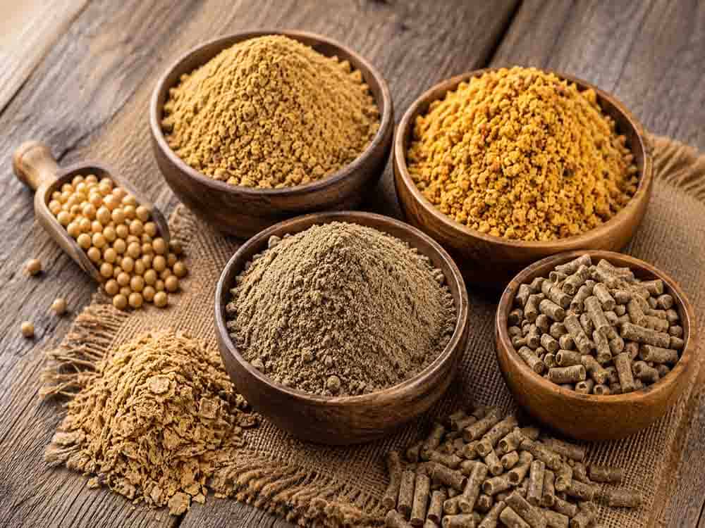 Feed raw materials including soybean meal, grain-based meal and feed pellets for food and feed processing applications.