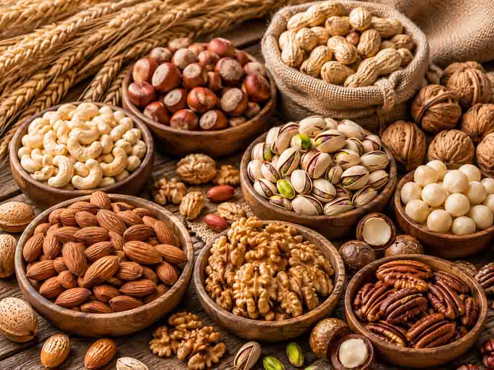 Assorted nuts including almonds, walnuts, pistachios, cashews and peanuts for food processing applications.